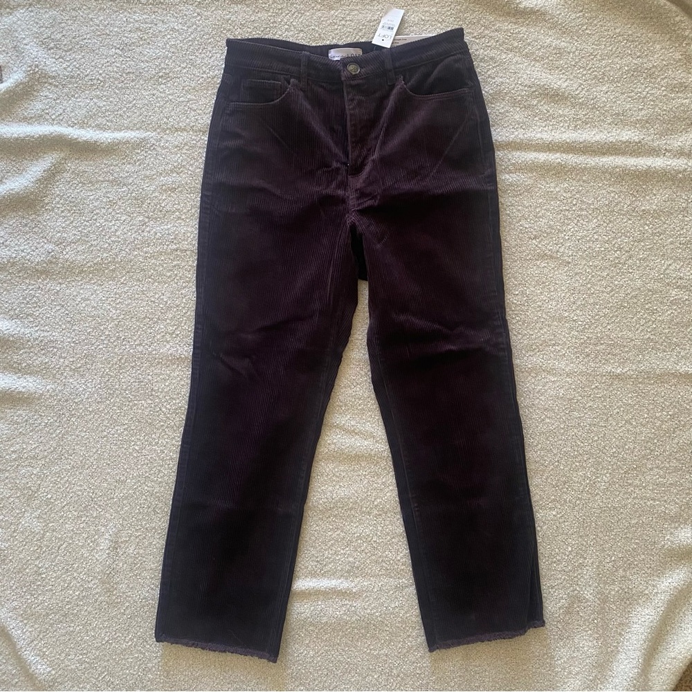 Loft Pants corduroy 29/8 NWT